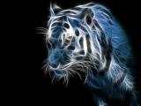 3D虎形